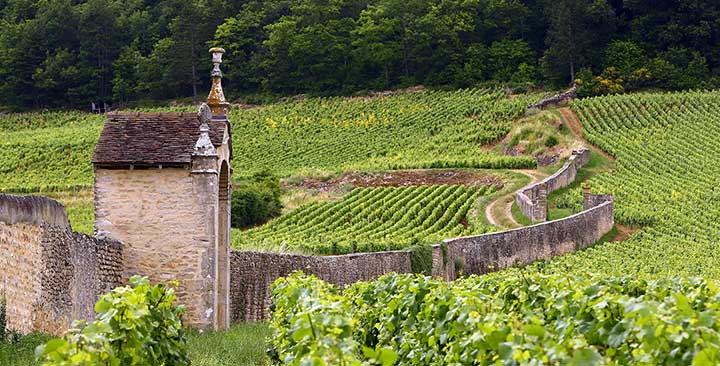 Inside Rousseau, Roumier, and Mugnier: Booking the Visit That's Worth It in 2026
