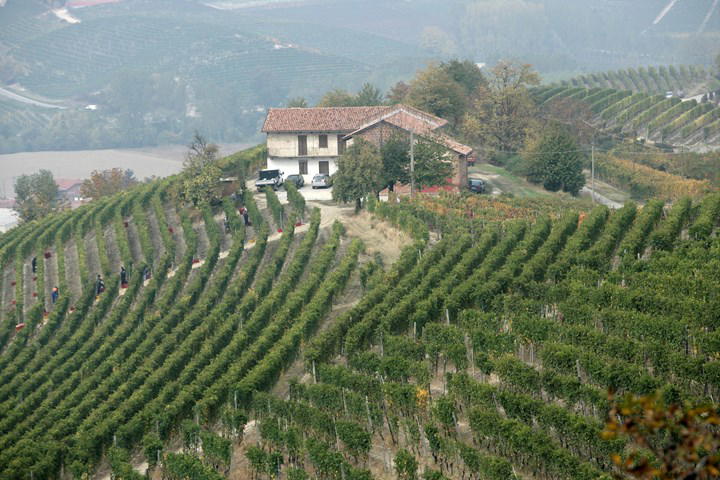 Barolo Winery Visits: Booking Mascarello and Rinaldi