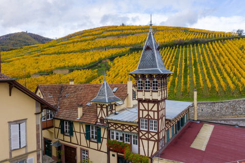 Alsatian village with half-timbered houses and autumn vineyards.