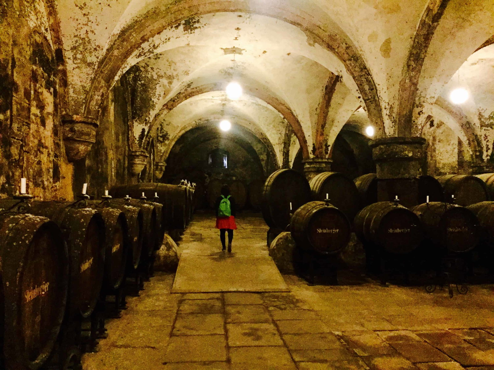 12. Rheingau, Germany, features a historic cellar with impressive arched stone ceilings.