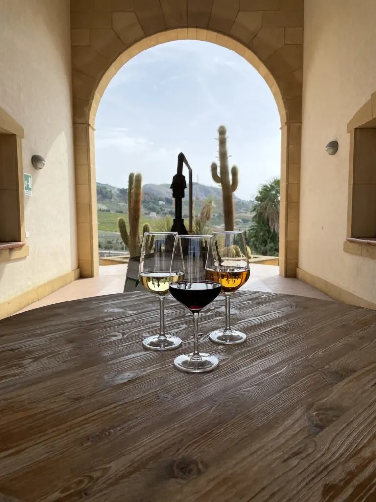 Next Steps for Wine Region Travel features three distinct wine colors in elegant glasses.