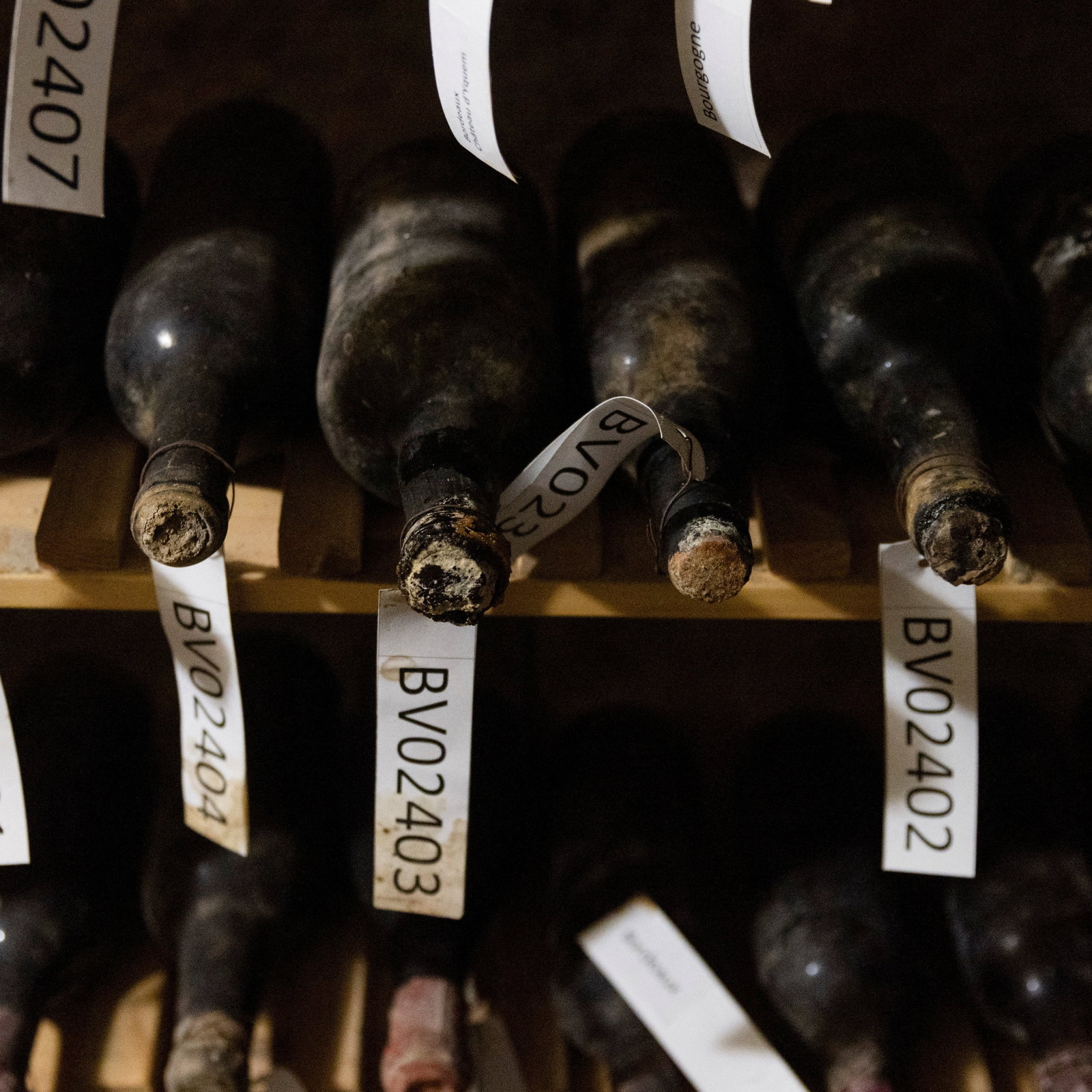 Dusty, dark wine bottles are arranged on wooden shelves, each with a white tag, some reading "BV02404," "BV02403," and "BV02402."