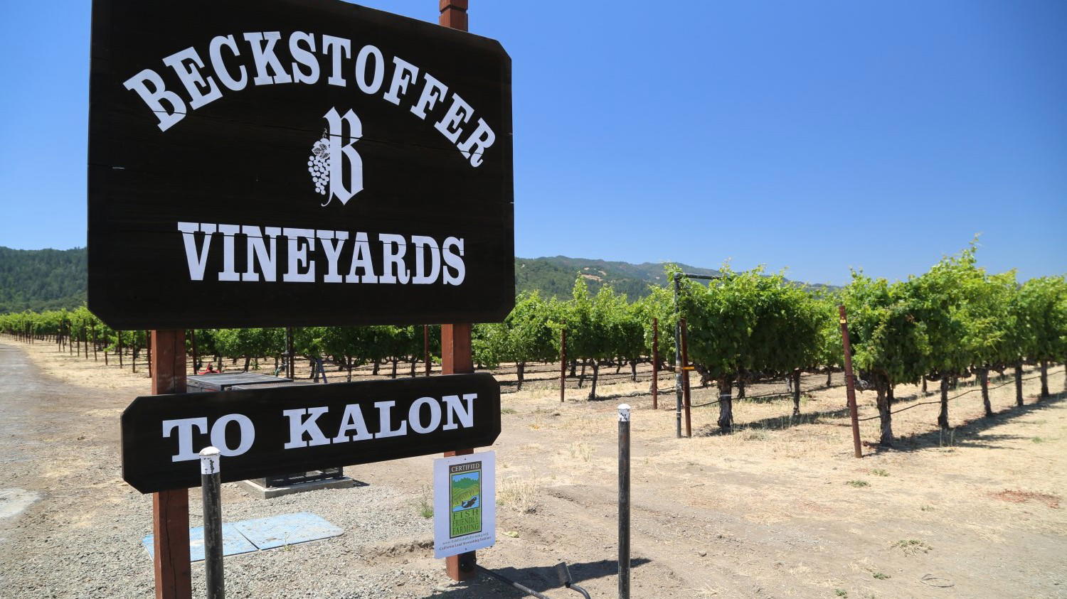 2023 Napa Cabernet 100-Point Scores: Five Perfect Wines to Cellar
