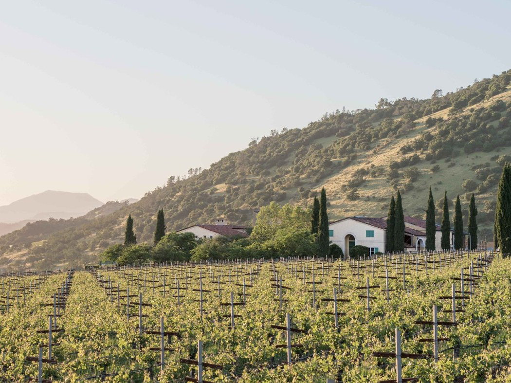 A hillside vineyard estate with a white Mediterranean-style winery building flanked by Italian cypress trees, set against green volcanic hills.