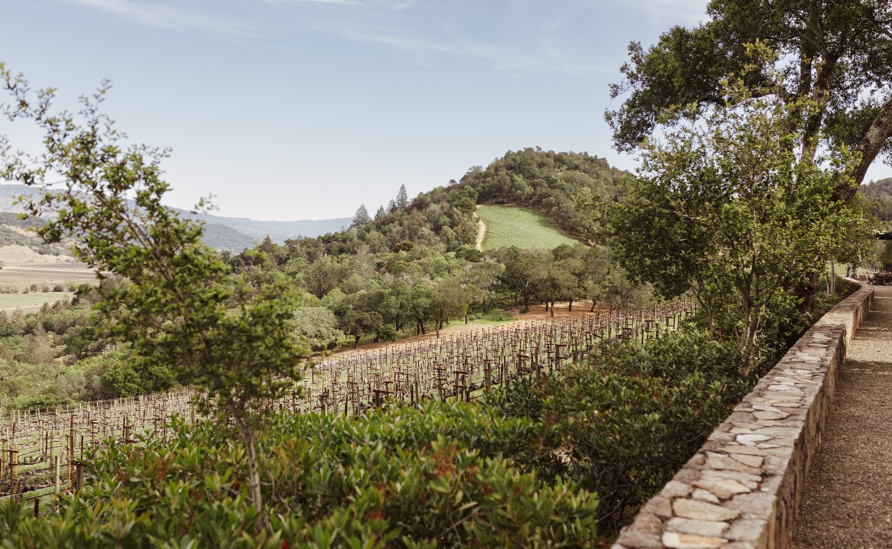 A panoramic view of the Harlan Estate Winery, showcasing rows of dormant grapevines stretching across rolling hills under a clear sky.