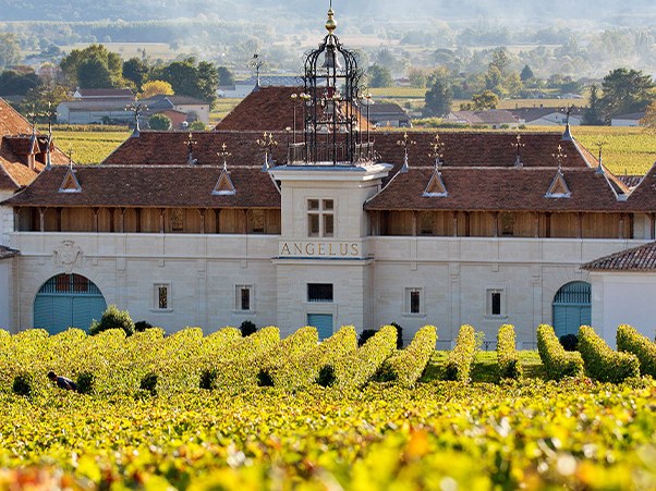 An elevated exterior view of Château Angélus, a grand building with a distinctive bell tower, surrounded by vibrant green vineyards under a clear sky.