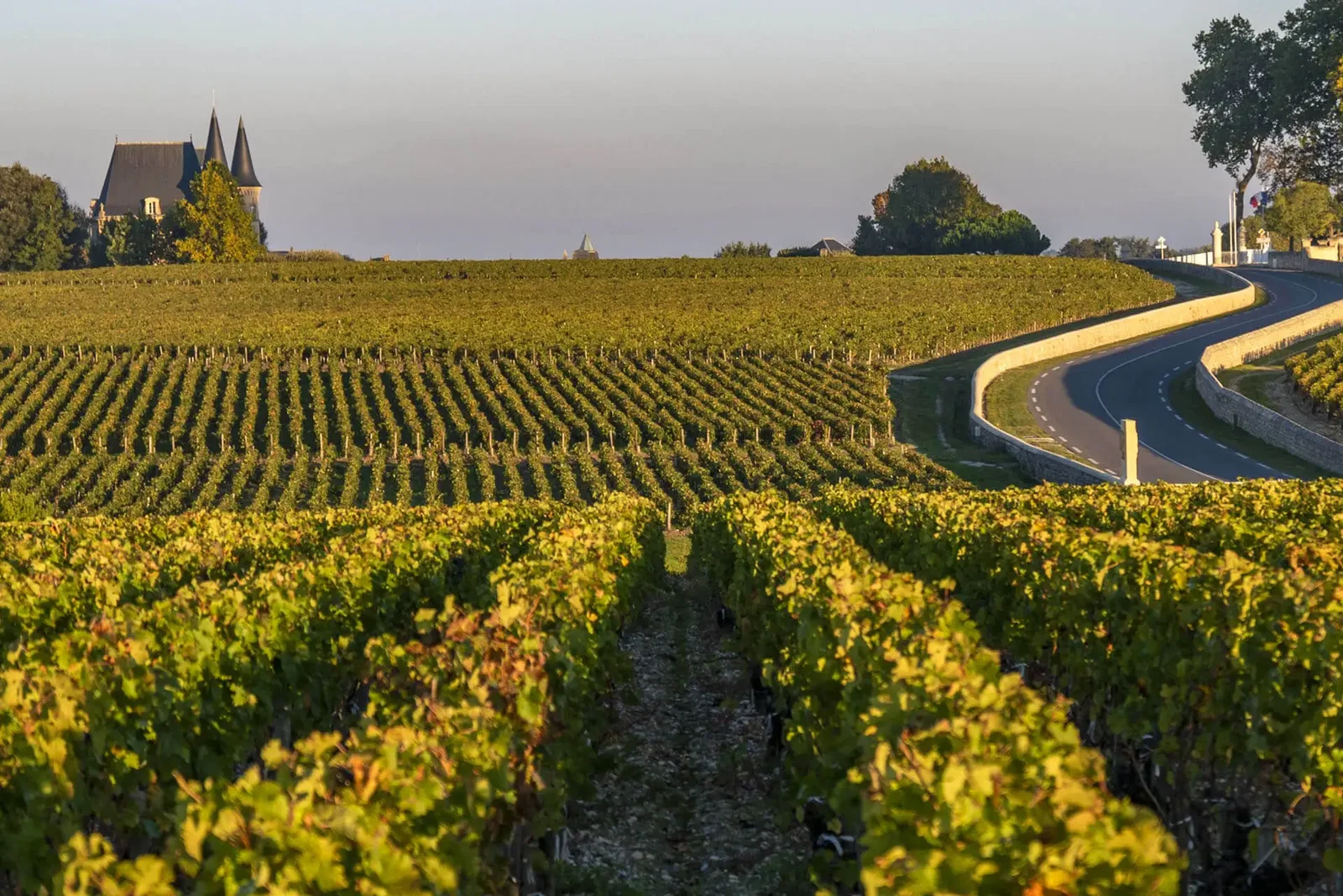 A winding road cuts through lush green vineyards under a clear sky, with a chateau featuring two pointed towers visible in the distance.