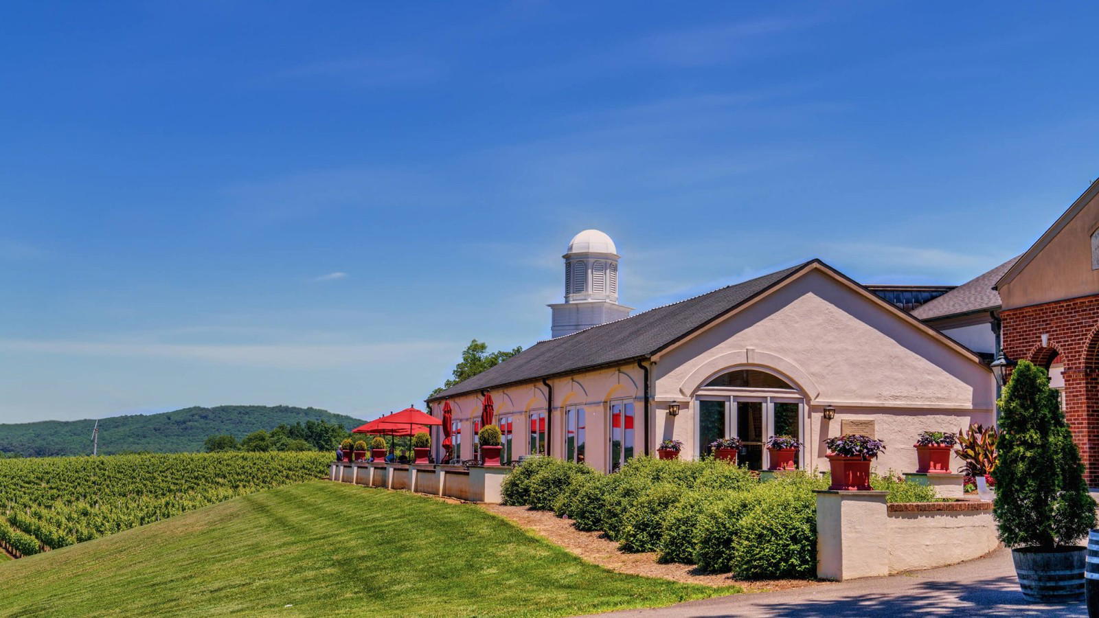 2026 Monticello Cup Gold Medal Winners: All 37 Wines