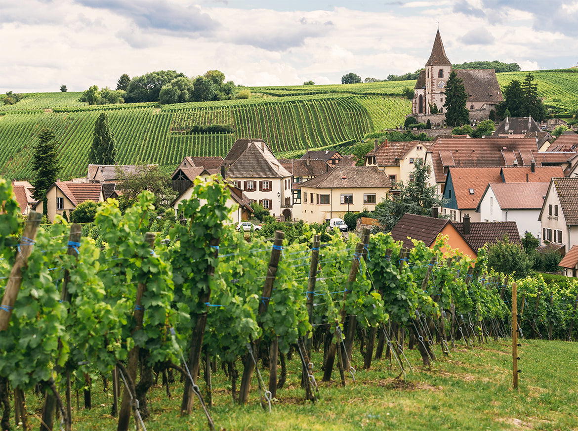 4 Burgundy Producers to Track Beyond the Grand Names