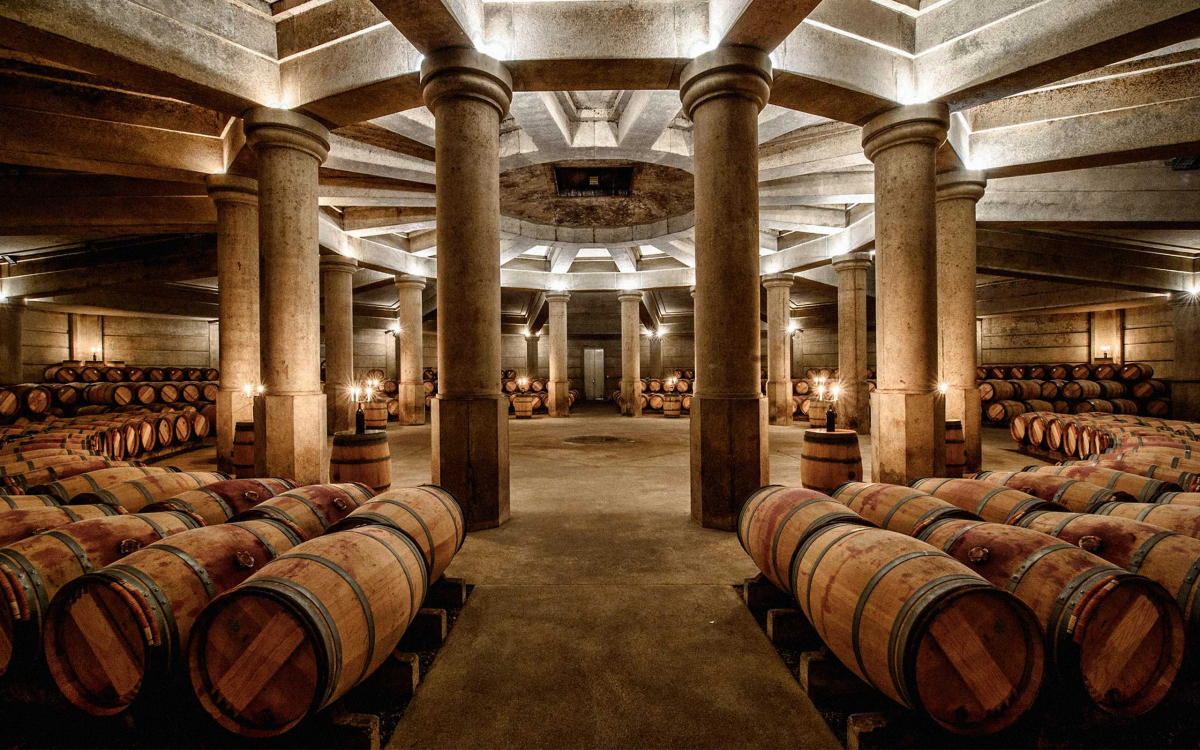 8 Tuscany Winery Visits You Can Actually Book
