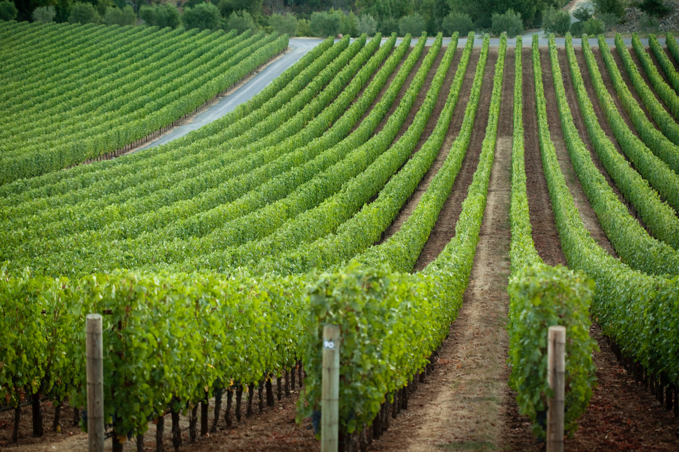 A Connoisseur’s Guide to Rare Bourbon: The Kentucky Bourbon Trail in Style