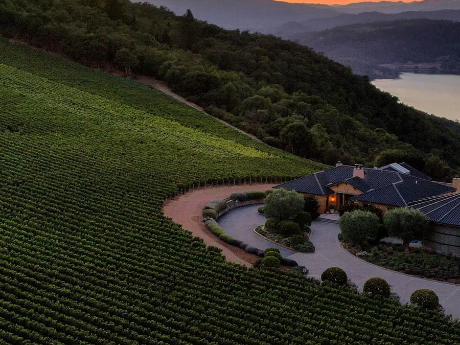 Vineyards in Napa Valley