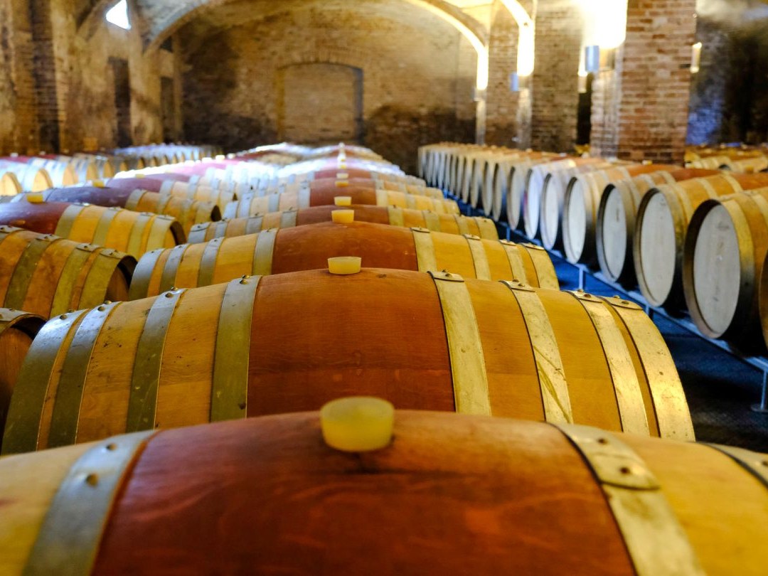 Barrel-aging cellars at Ceretto, where the single-vineyard Barolos mature.