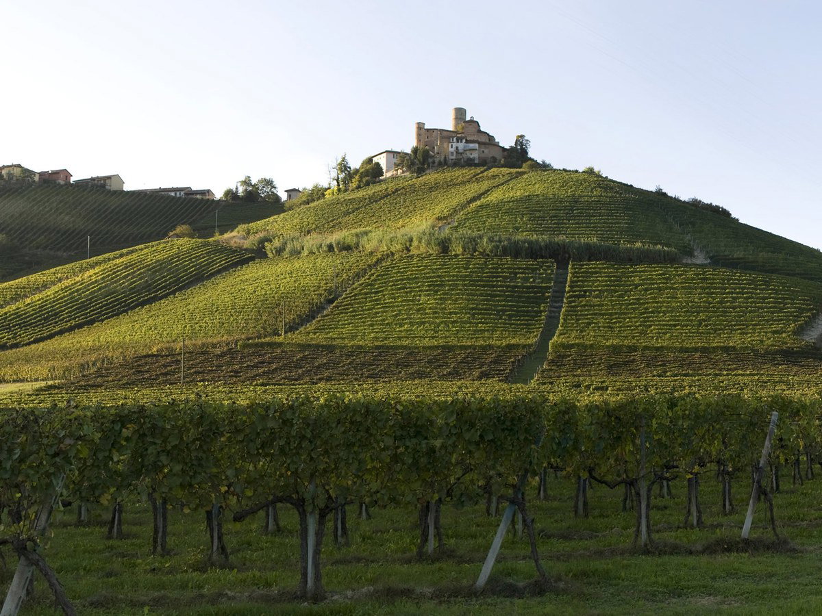 Vietti Winery: Vineyards and a hilltop castle in the Langhe hills of Piedmont.