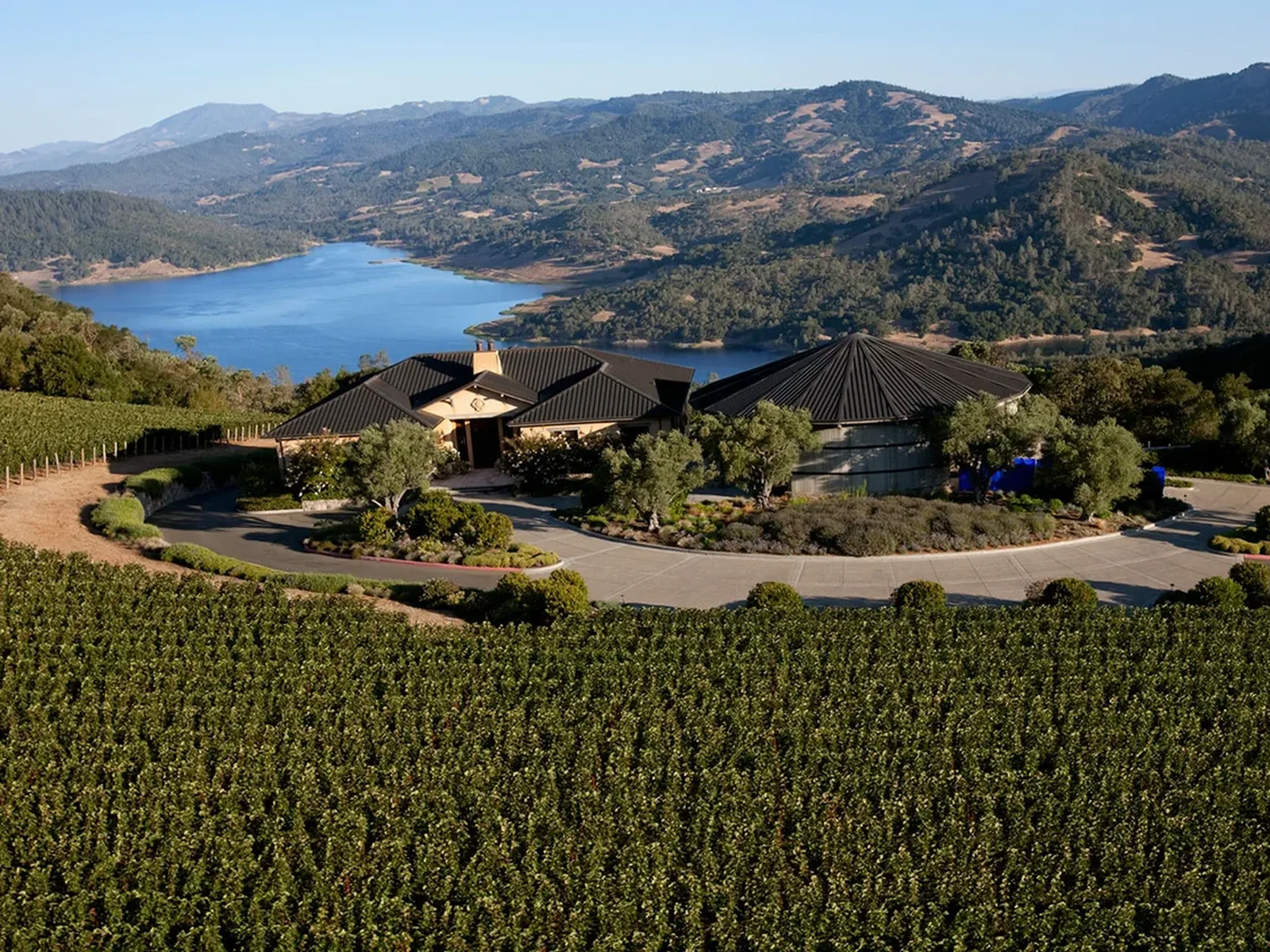 Vineyards in Napa Valley