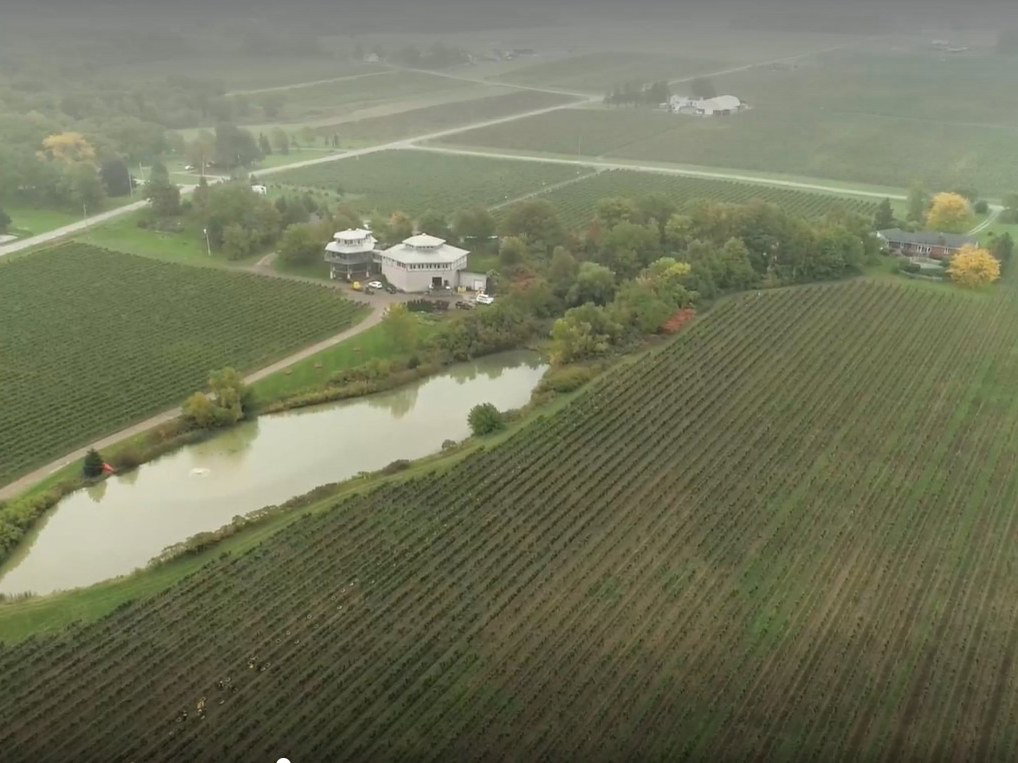 Cloudsley Cellars vineyards stretch across the Twenty Mile Bench, showcasing the region's unique limestone escarpment.