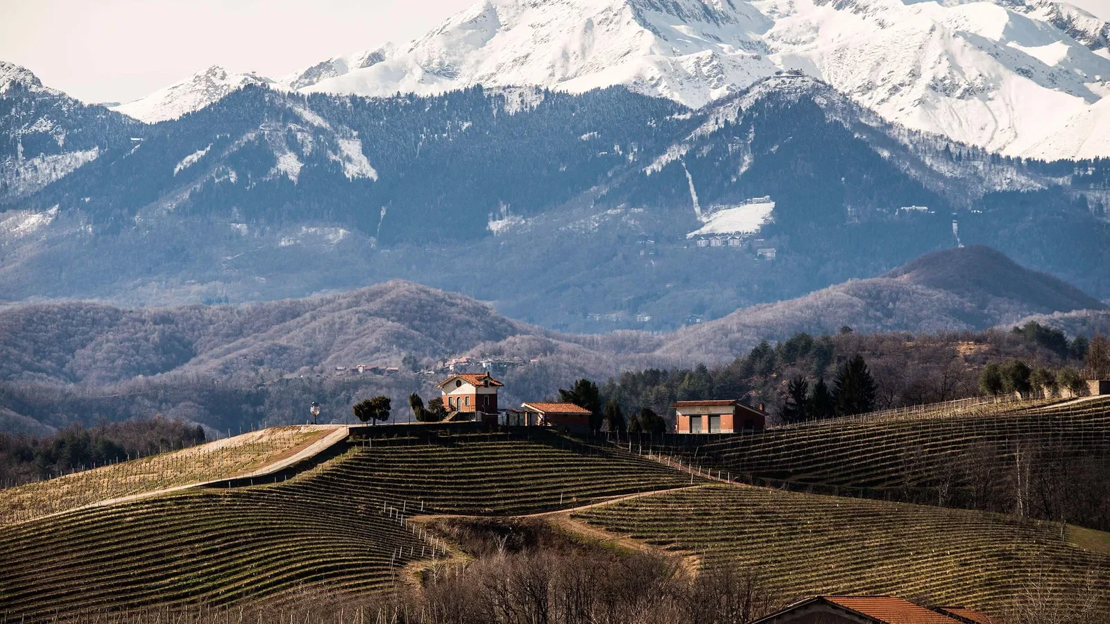 Alto Piemonte Nebbiolo: 5 Bottles Beyond Barolo
