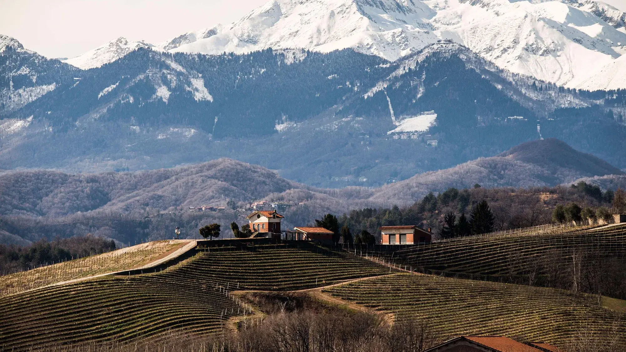 Alto Piemonte Nebbiolo: 5 Bottles Beyond Barolo
