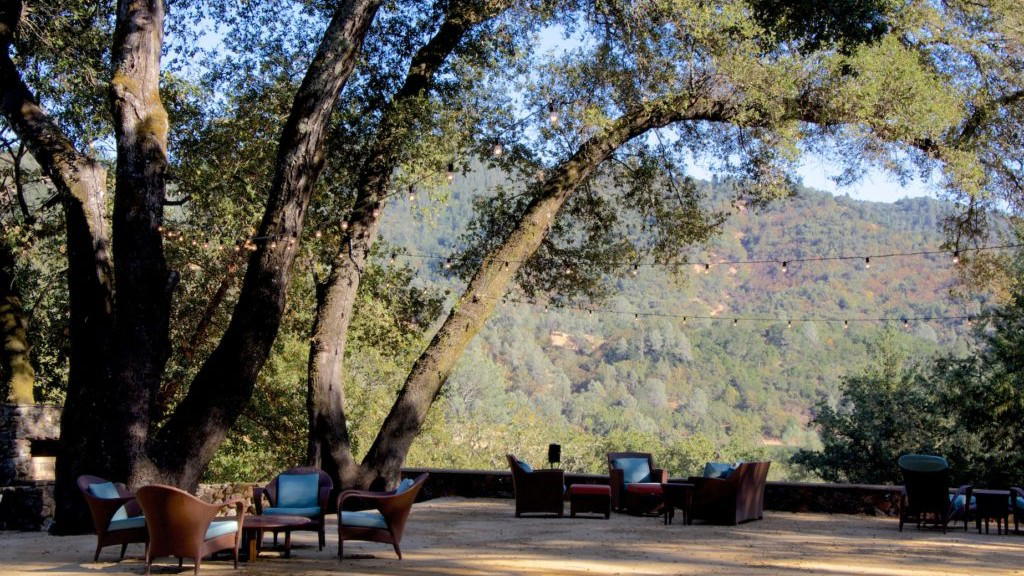 Amici Cellars' 100-Point Cabernet: Oakville's Quiet Titan