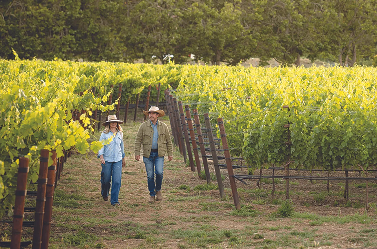Two people wearing cowboy hats and casual work clothes walk down a dirt path between rows of grapevines with yellow-green foliage, with forest visible in the background.
