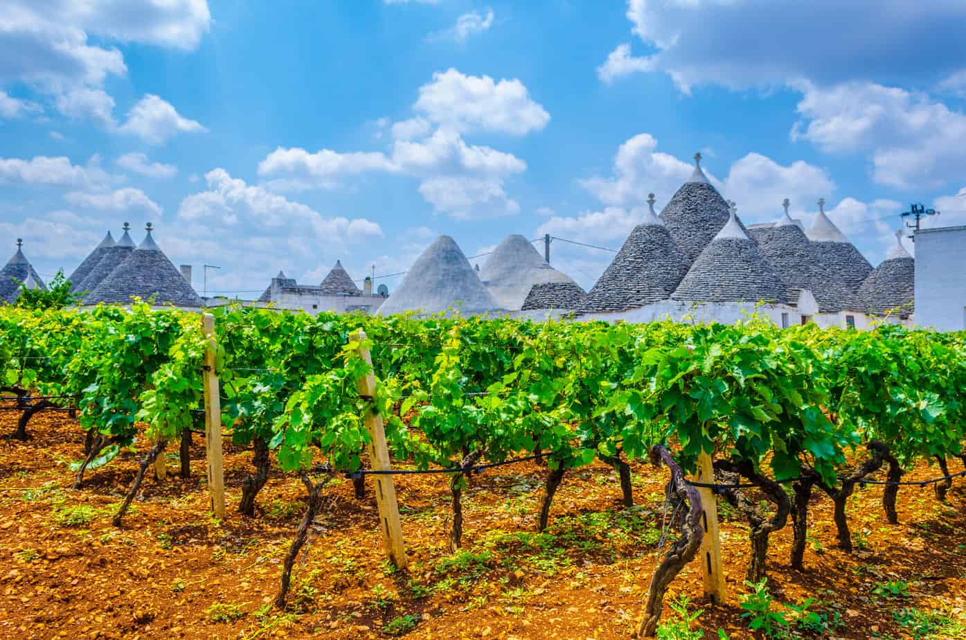 Bari Wine Itinerary: 12 Pugliese Stops to Plan Now
