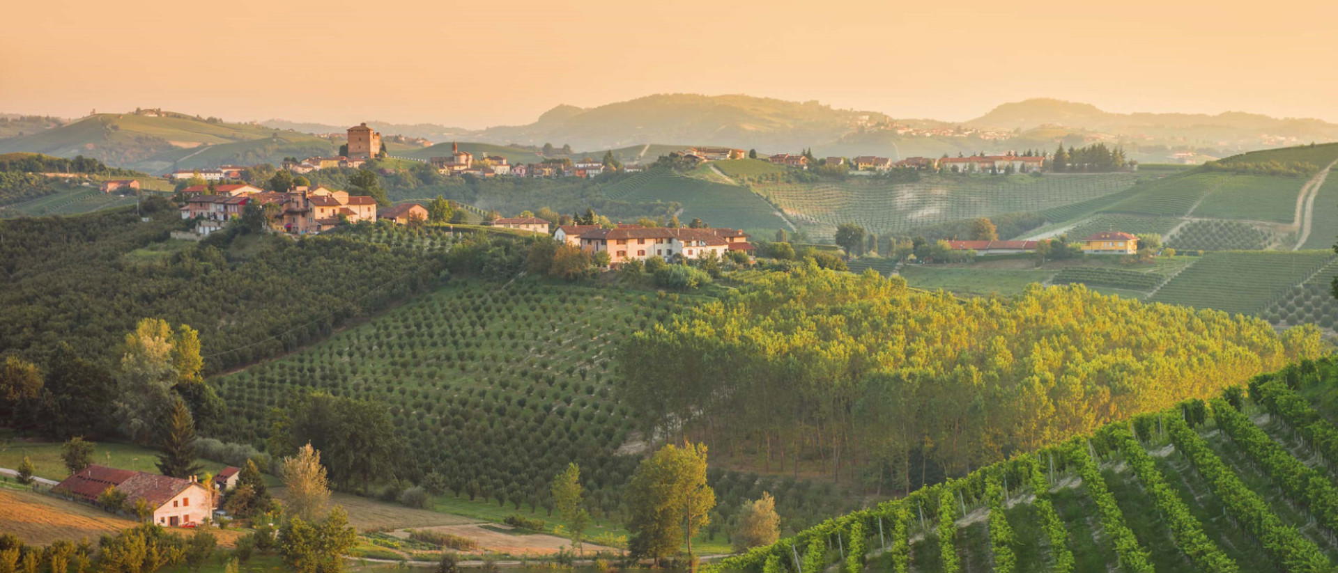 Barolo 2019 Vintage Report