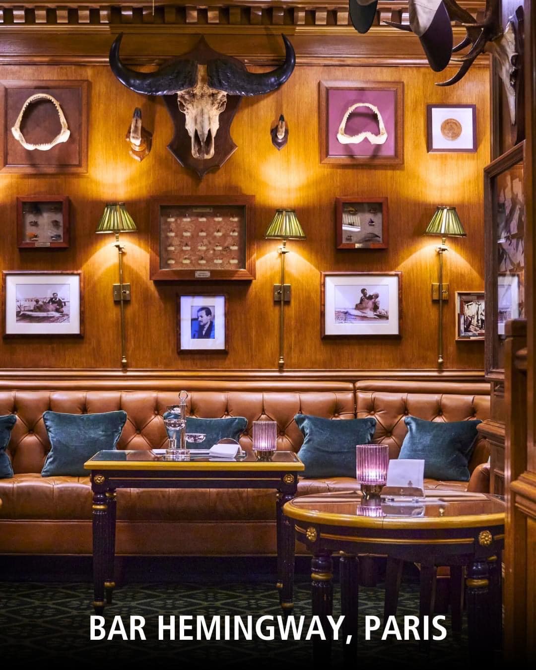 5. Hemingway Gin & Cocktail Bar features a prominent buffalo skull mounted on its richly paneled walls.
