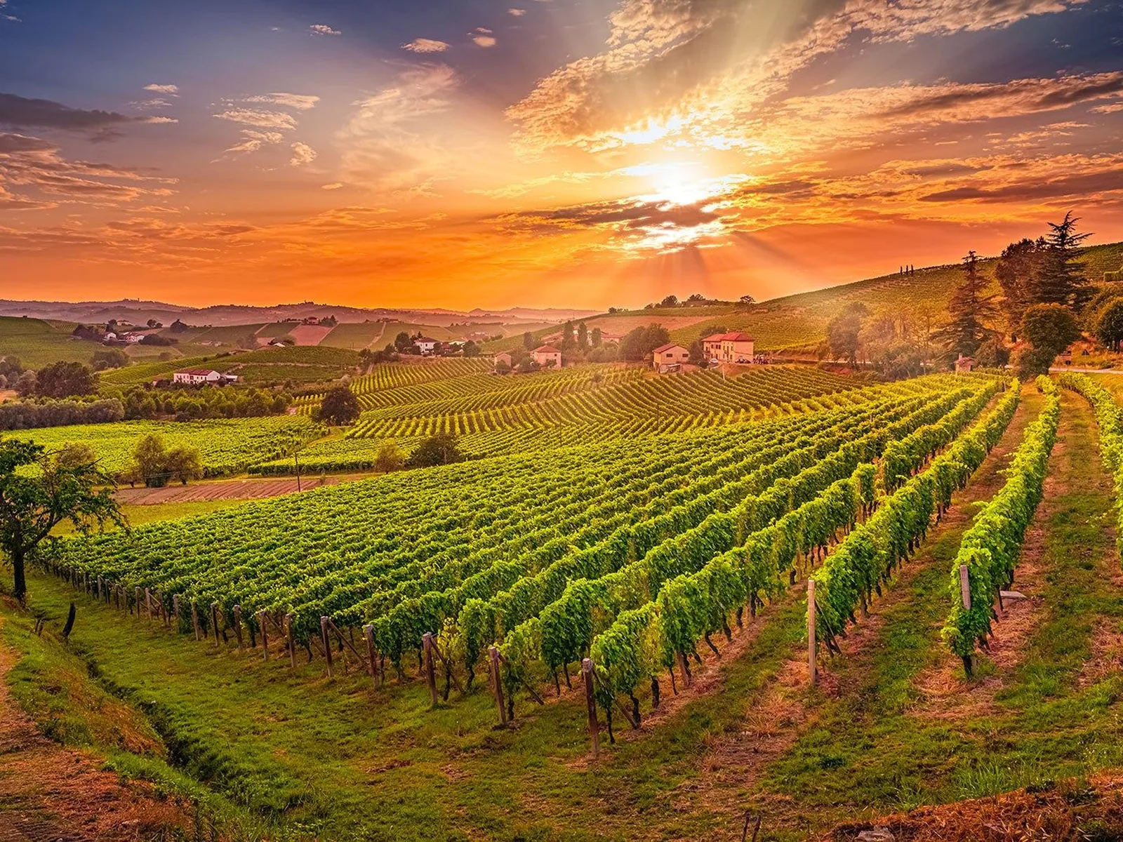 A picturesque landscape of rolling hills covered in vibrant green vineyards under a dramatic orange and blue sunset sky with sun rays breaking