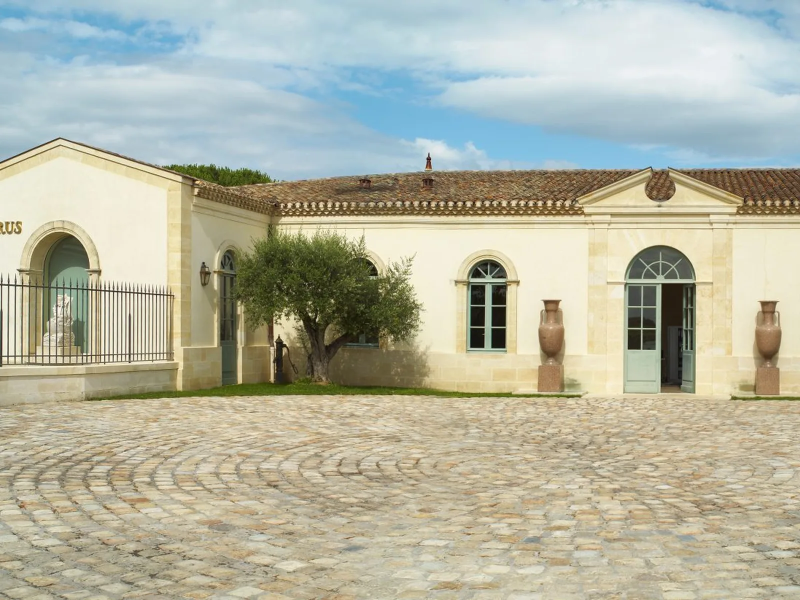 Vineyards in Bordeaux
