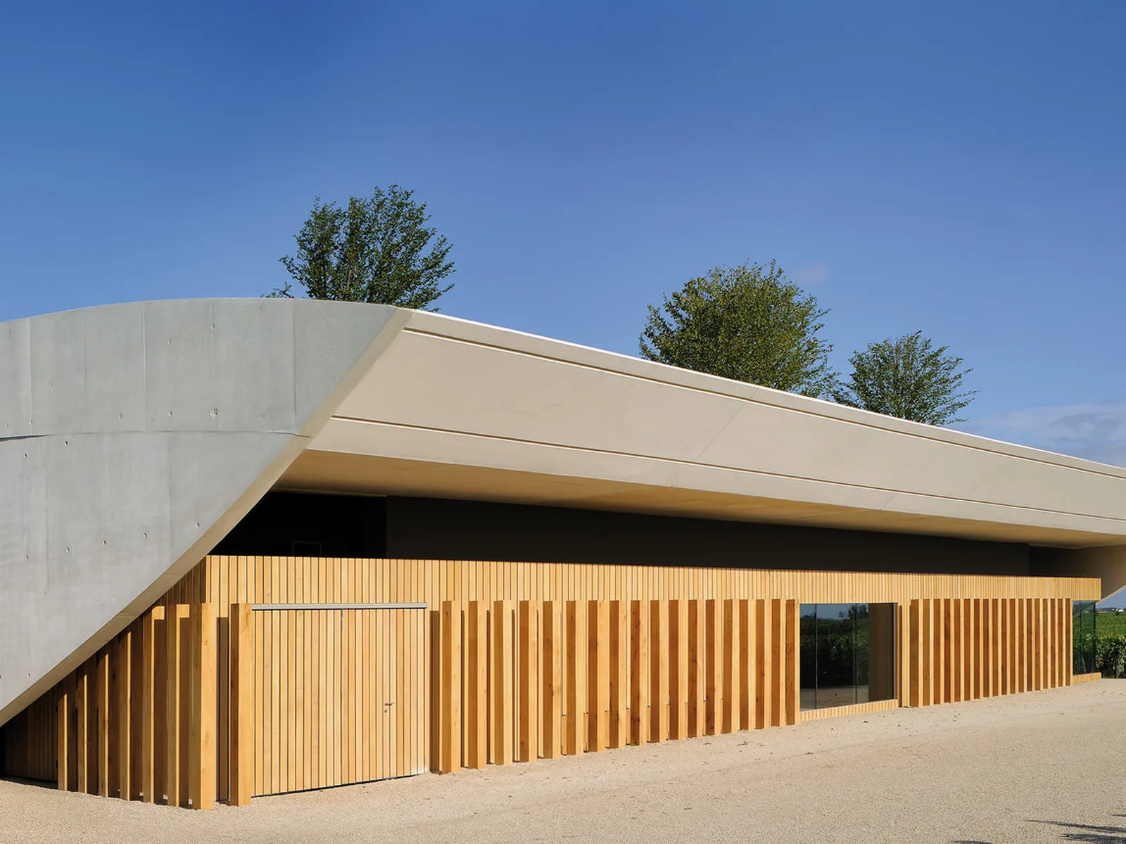 Modern architecture with a curved concrete roof and slatted wooden facade under a clear blue sky.
