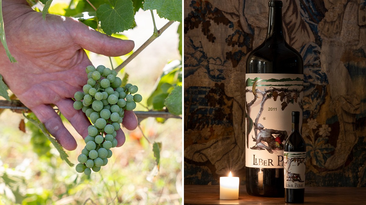 Left panel shows a hand holding green grapes on the vine; right panel shows Liber Pater wine bottles (2011 vintage) with artistic labels featuring a t