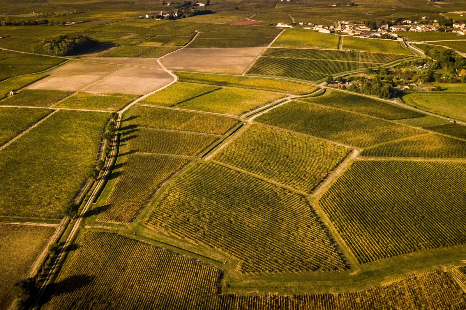 An aerial view of the Bordeaux region shows a patchwork of green and golden vineyards, with roads winding through the fields and a small village