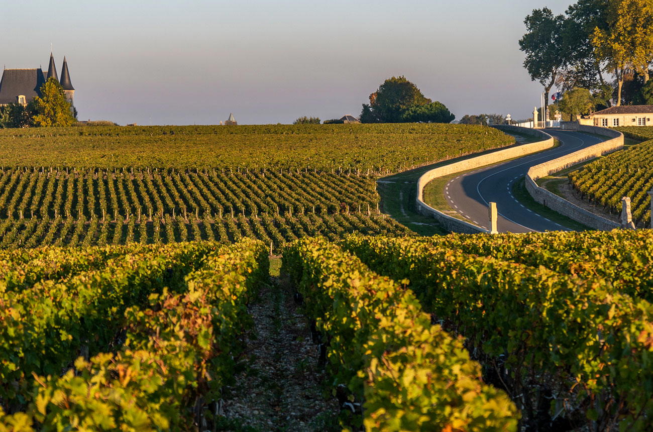 Bordeaux 2025: The Vintage Reawakening En Primeur
