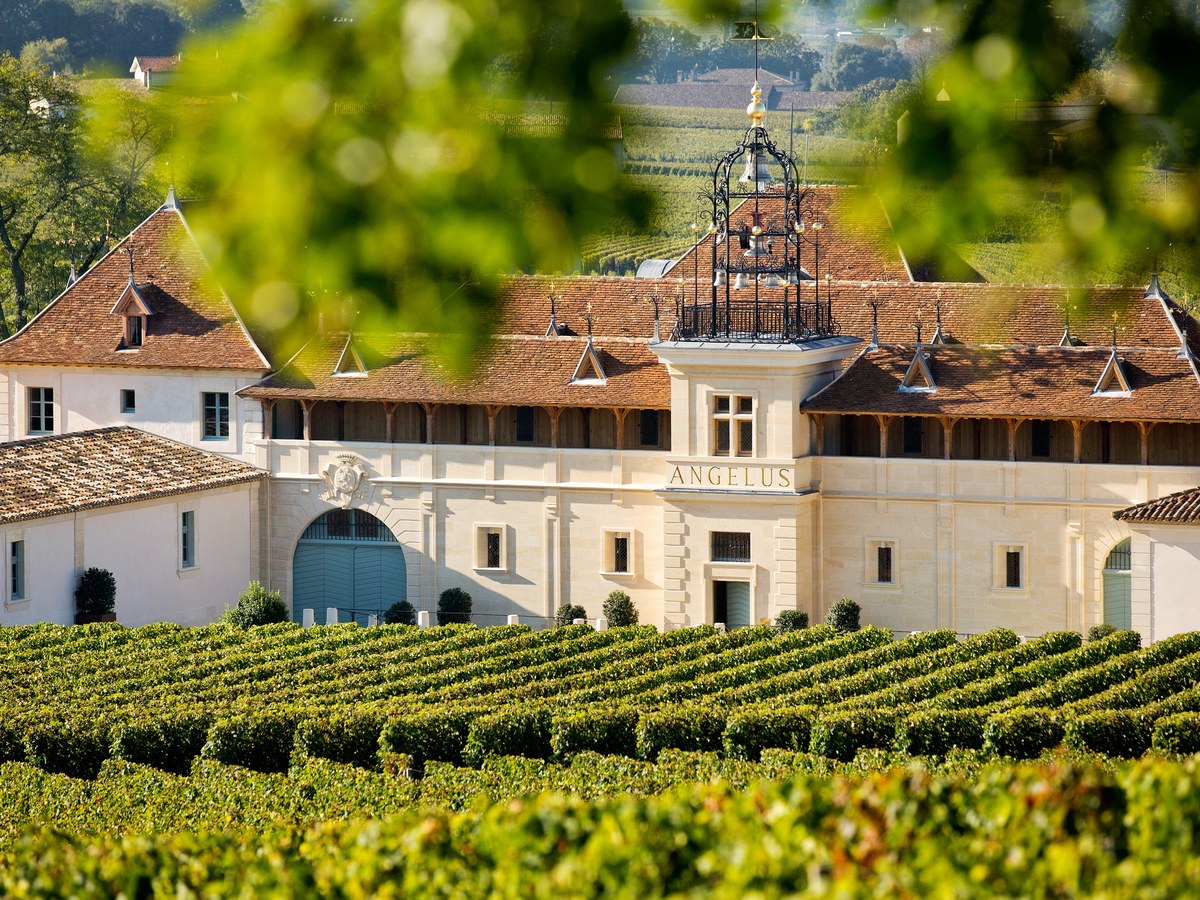 Château Angélus and its surrounding Saint-Émilion vineyards.