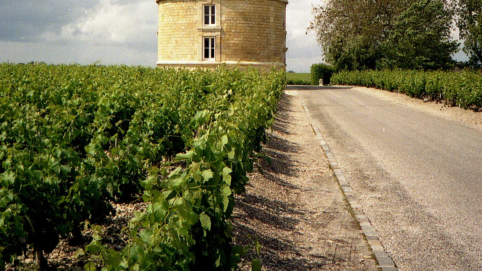 Bordeaux vs Burgundy: A Deep Dive into French Wine Culture