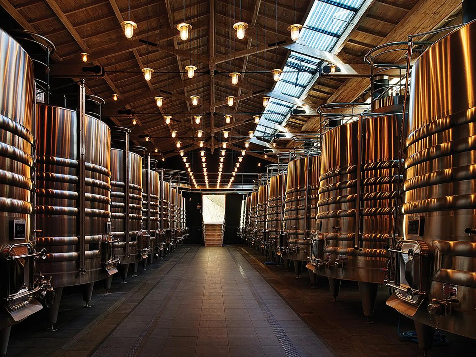 Vineyards in Bordeaux