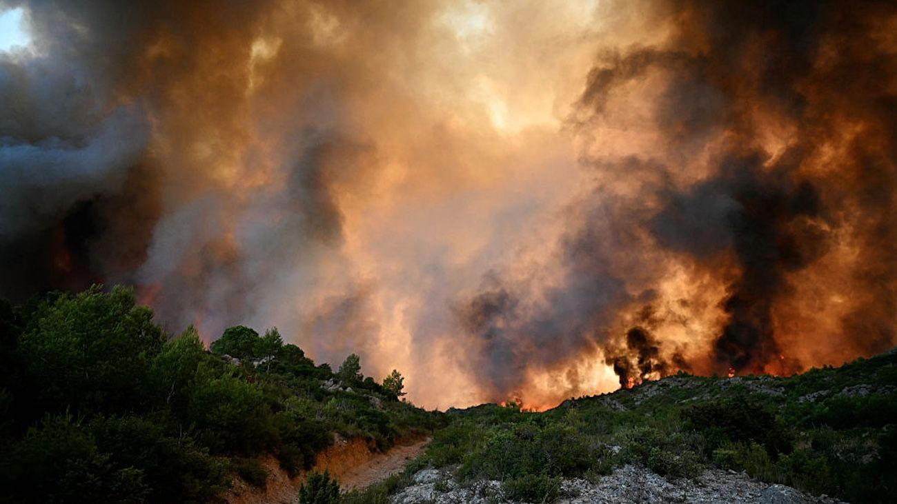 Bordeaux Wildfire 2026 Vintage: Vineyards Hold, for Now