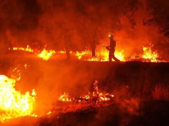 A firefighter battles the Gironde wildfire near Arcachon Bay, threatening Bordeaux's 2026 vintage.