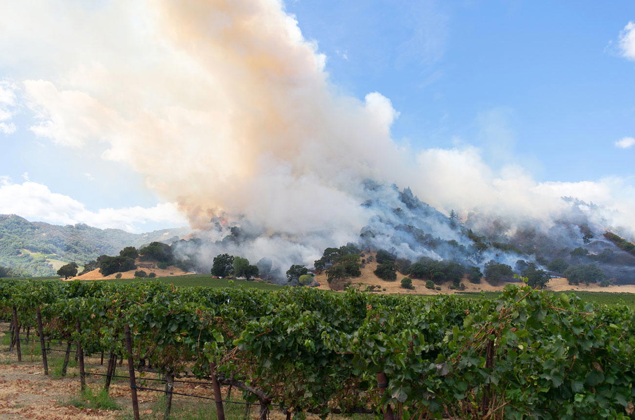 Bordeaux Wildfire Response: The 2026 Fire Lesson