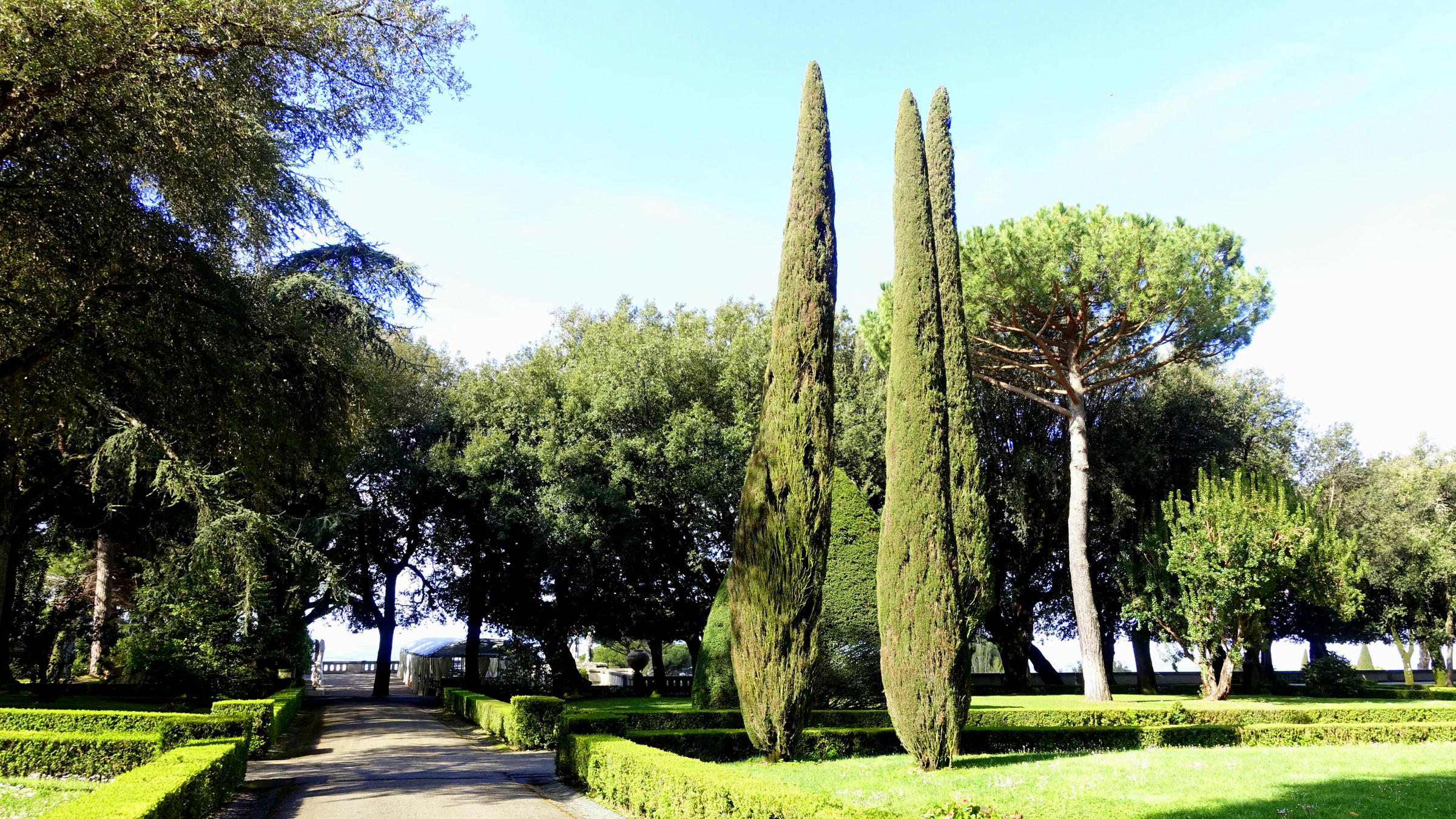 Borgo Laudato Si Wine: The Pope's First 5,000-Bottle Harvest