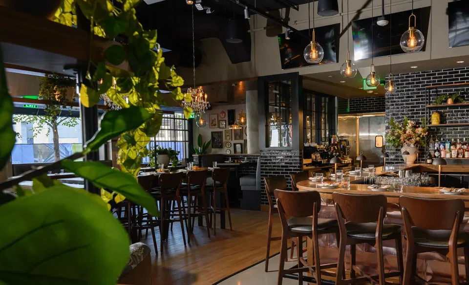 Alice and Monarch (Kendall Square) features lush green foliage cascading from overhead, creating a vibrant atmosphere.