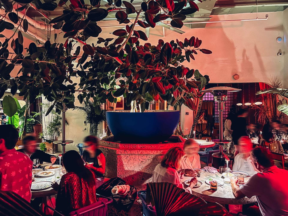 Bey (South End) showcases a vibrant blue planter anchoring the lush, red-lit dining space.