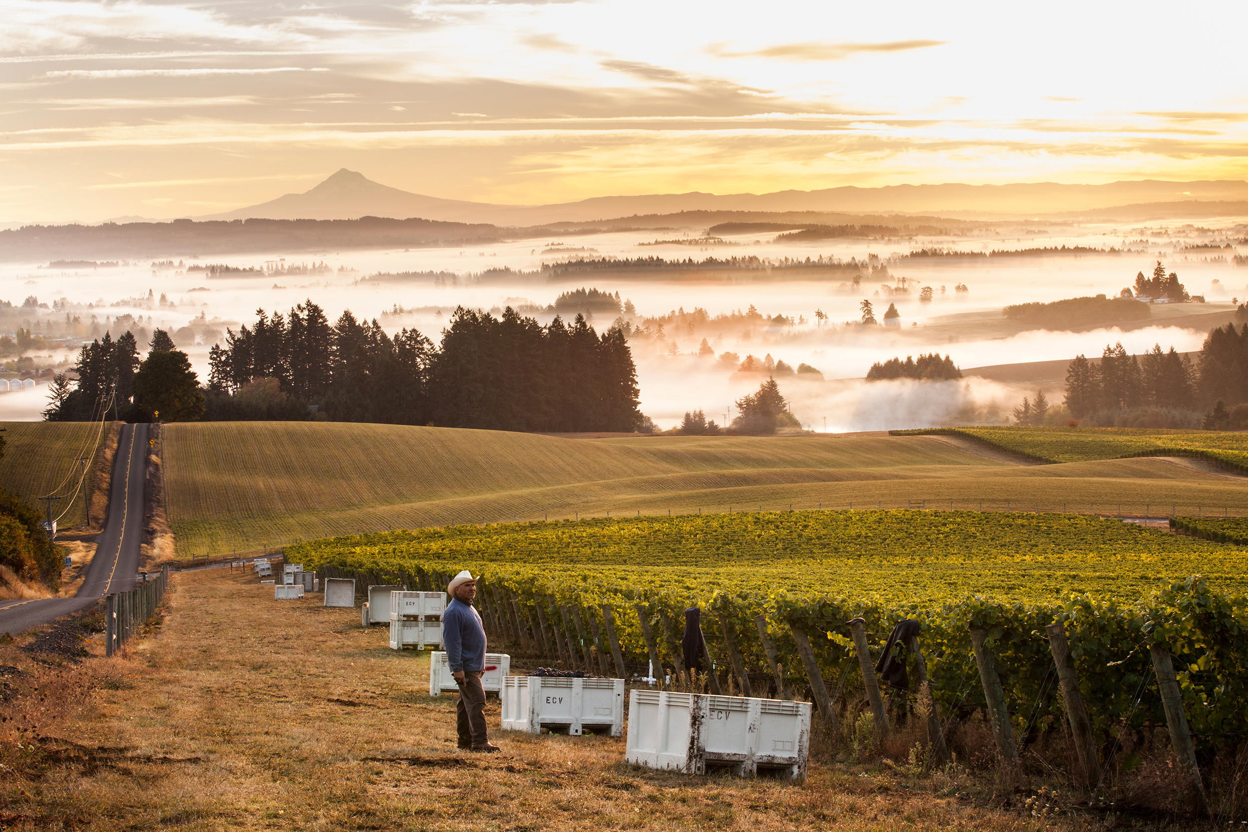 Brianne Day’s Oregon Passetoutgrains Bottled for the Bistro
