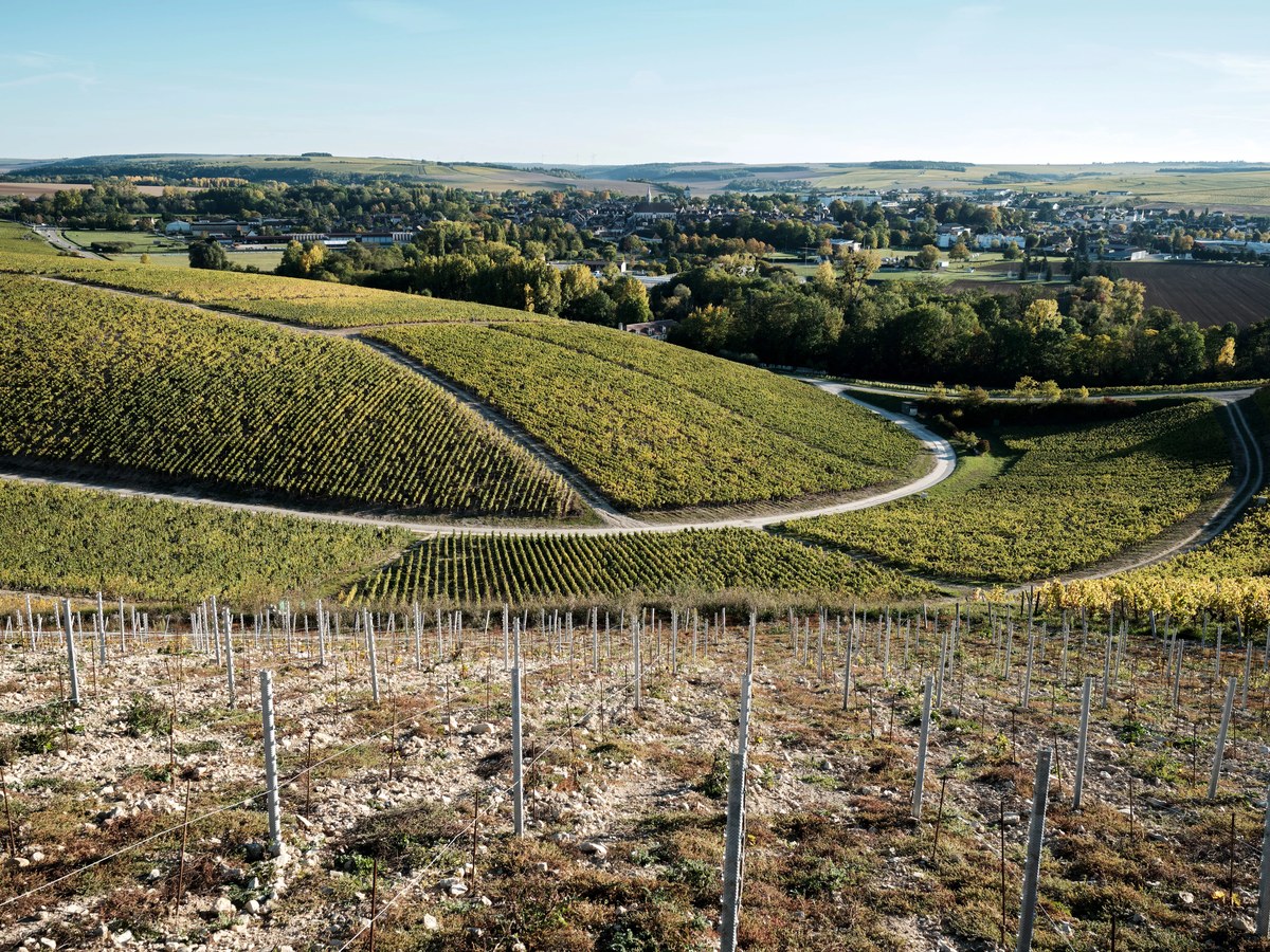 An elevated view of rolling Burgundy vineyard hillsides in autumn, with chalk and limestone soil visible in the foreground, and a French town in the