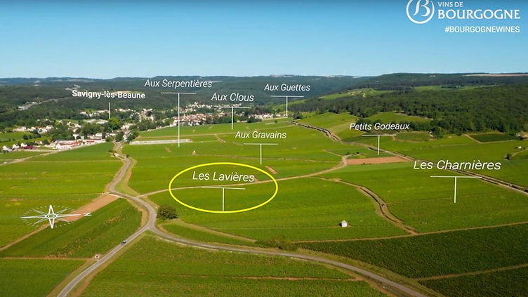 Burgundy Vineyard Prices 2025: New Records as Bordeaux Falls