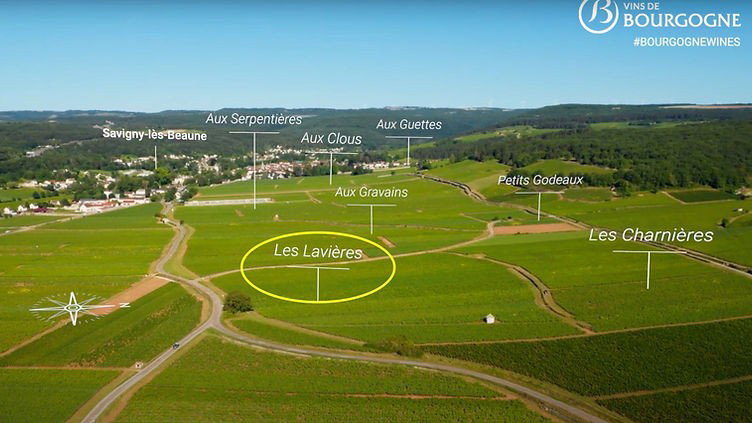Burgundy Vineyard Prices 2025: New Records as Bordeaux Falls