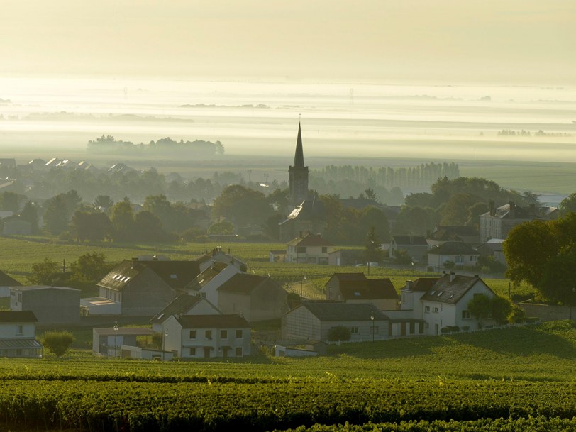 Champagne's Côte des Blancs: Vineyards and a village emerge from morning mist in the Côte-d'Or.