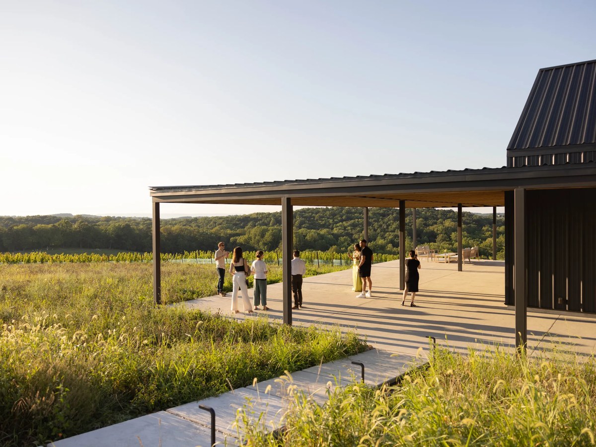 An outdoor covered terrace/pavilion with dark metal roof and steel columns overlooks vineyard rows and rolling wooded hills at golden hour, with sever