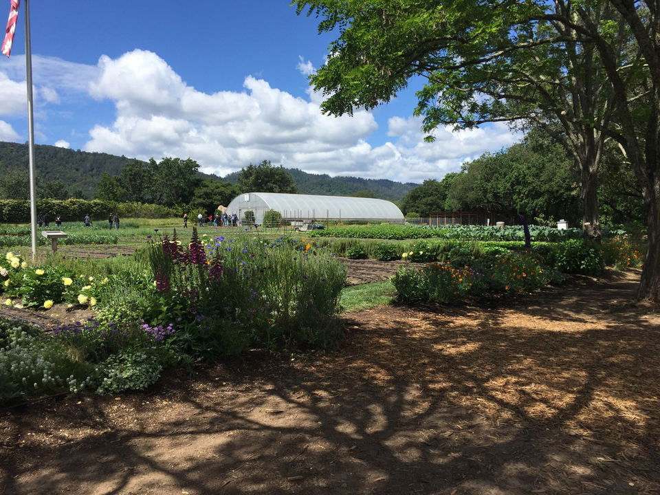 The French Laundry's garden courtyard and Victorian stone cottage exterior in Yountville, showing the herb and vegetable garden.