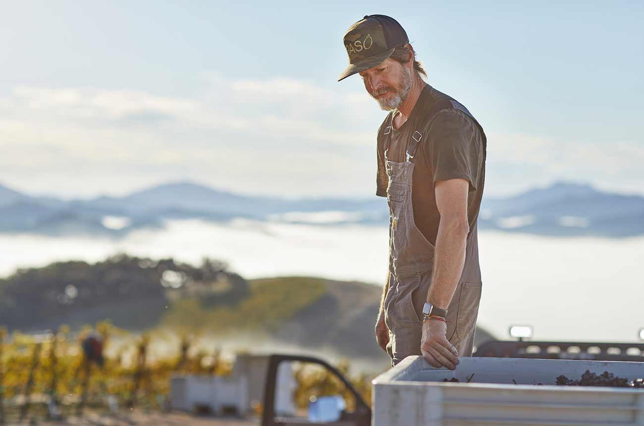 A bearded man in work attire (cap, t-shirt, overalls) sorting grapes in a vineyard setting with water and mountains in the background; published by De